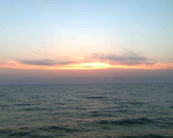 ������ 2008