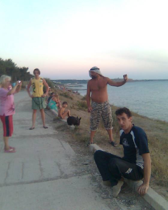 ������ 2008
