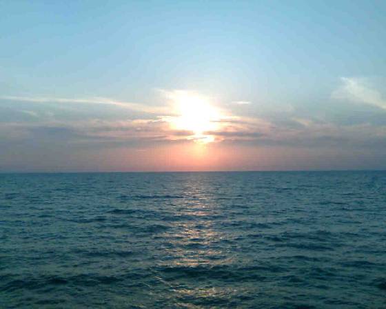 ������ 2008